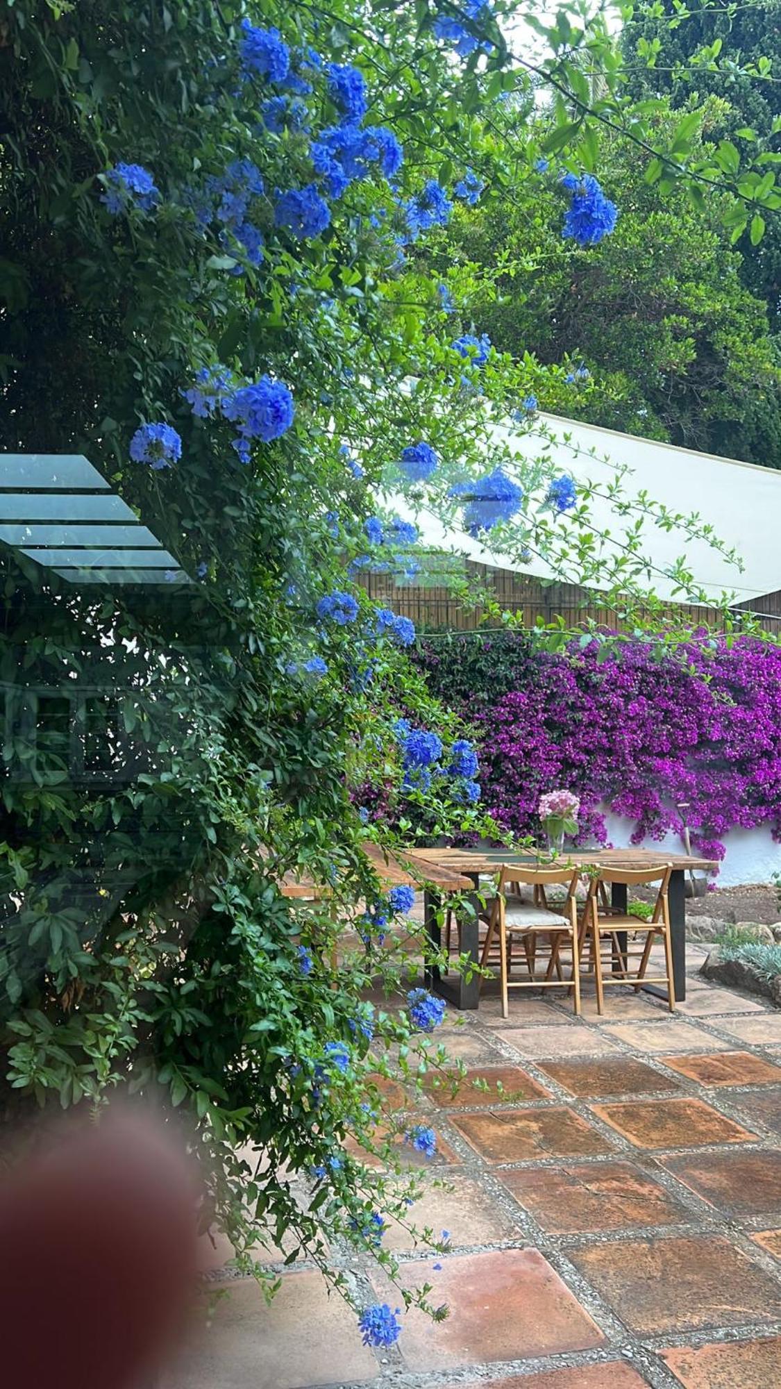Family B&B Homefromhomees Sant Feliu de Guíxols Ngoại thất bức ảnh